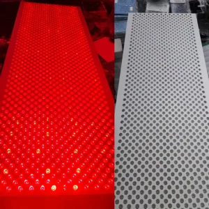 Red Light Therapy Full Body Panel